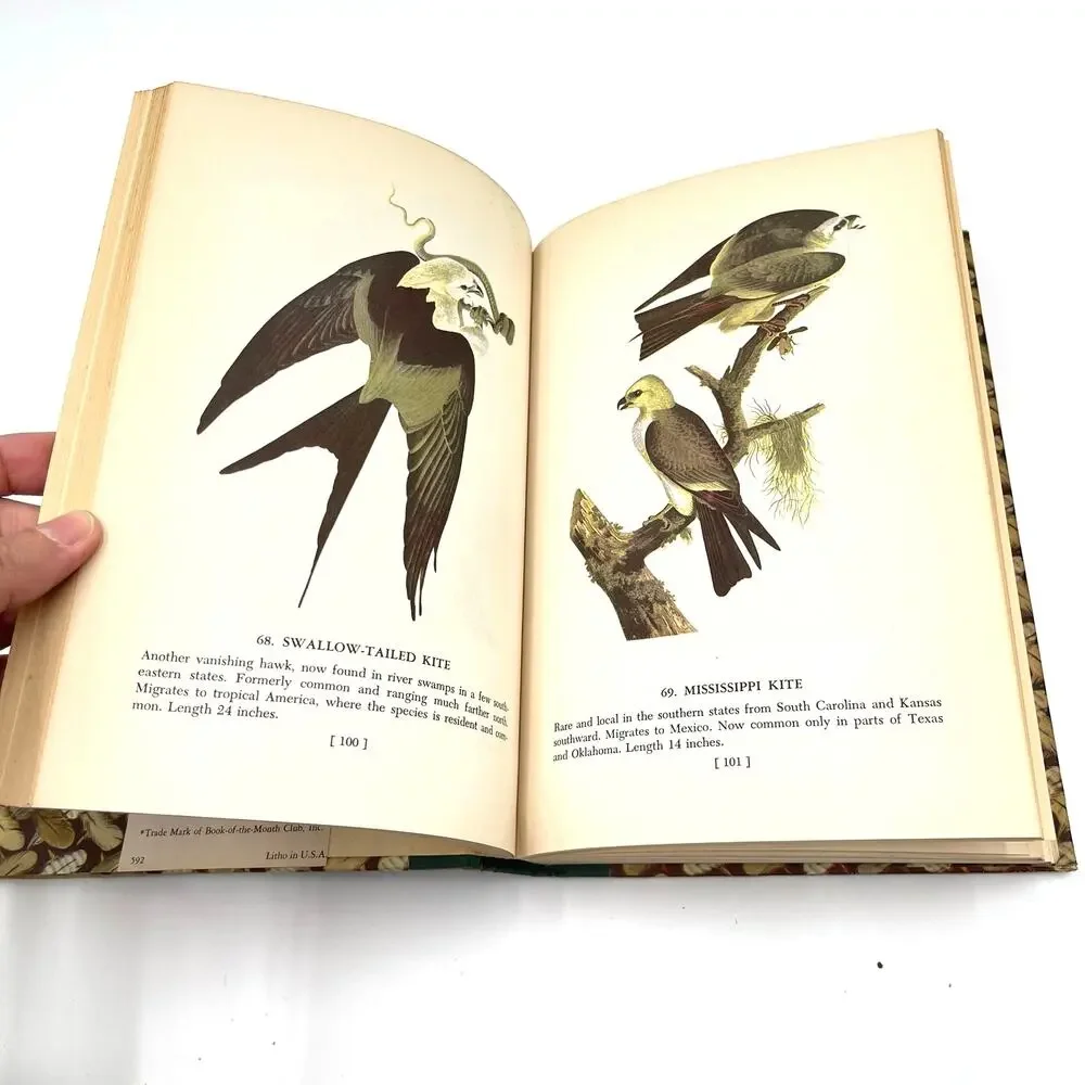 Audubons Birds Of America 1950 Book Stated First Printing Popular Edition HC DJ
